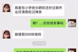 尉氏为什么选择专业追讨公司来处理您的债务纠纷？